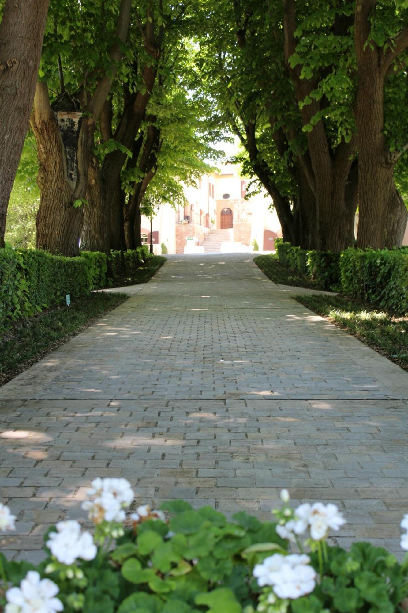 Bed and Breakfast Palazzo Del Poggiano Poggio Berni Exterior foto